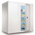 Commercial blast freezer cold room freezer for fish